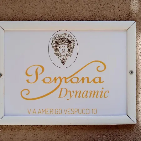 Pomona Dynamic Holiday home